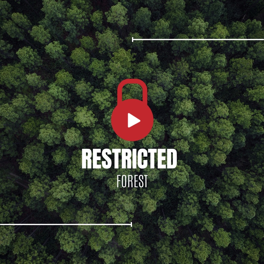 About Restricted Forest Festival